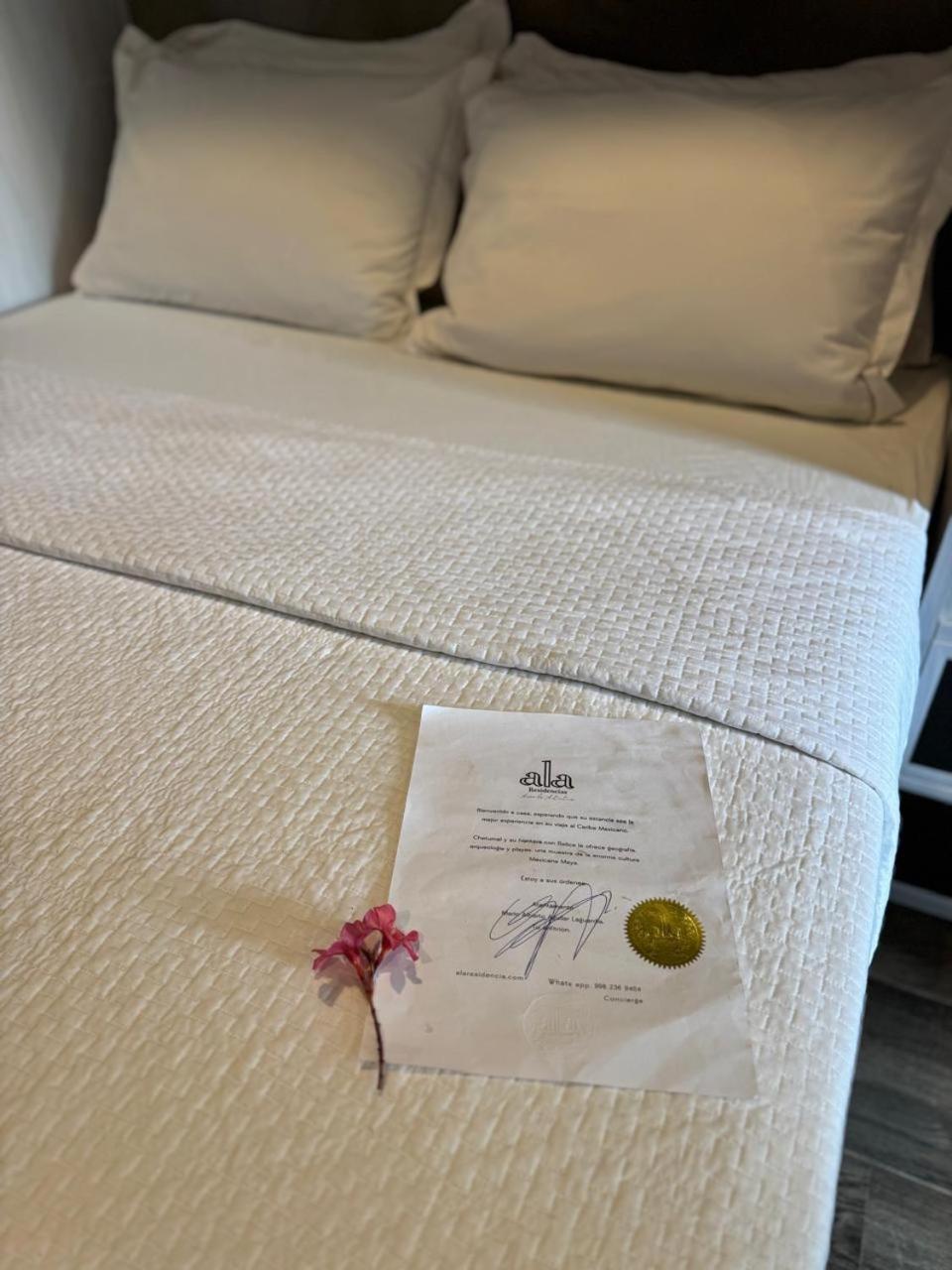 Hotel "Ala Residencias" Chetumal Extérieur photo